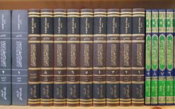 -العقل-السليم