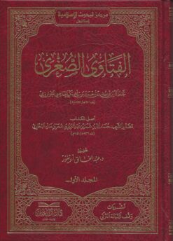 الفتاوى الصغرى