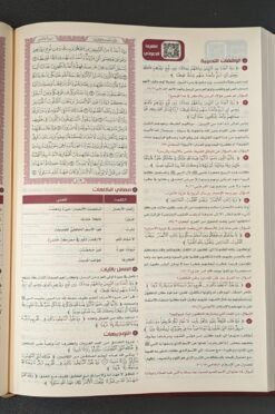 القرآن تدبر وعمل