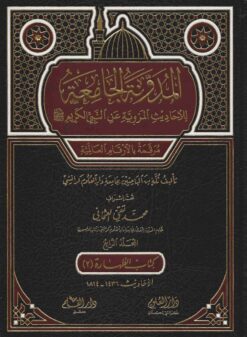 المدونة الجامعة ج4