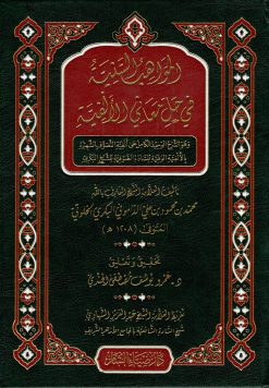 المواهب السنية في حل معاني الألفية