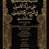 حاشية الحامدي على مرآة الأصول في شرح مرقاة الوصول لملا خسرو