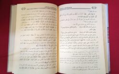 دفع إيهام الاضطراب