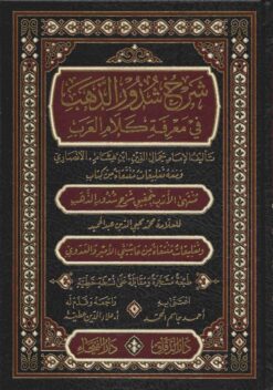 شرح شذور الذهب في معرفة كلام العرب