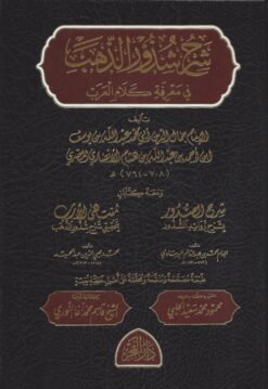 شرح شذور الذهب في معرفة كلام العرب