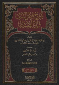 شرح قطر الندى وبل الصدى