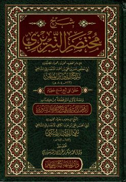 شرح مختصر التبريزي ومعه الرقم الأبريزي
