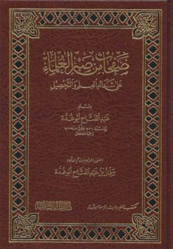  من صبر العلماء