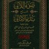 ضوء اللآلي شرح بدء الأمالي