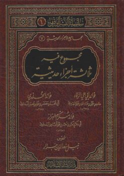  فيه ثلاث أجزاء حديثية